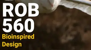 Instagram video thumbnail