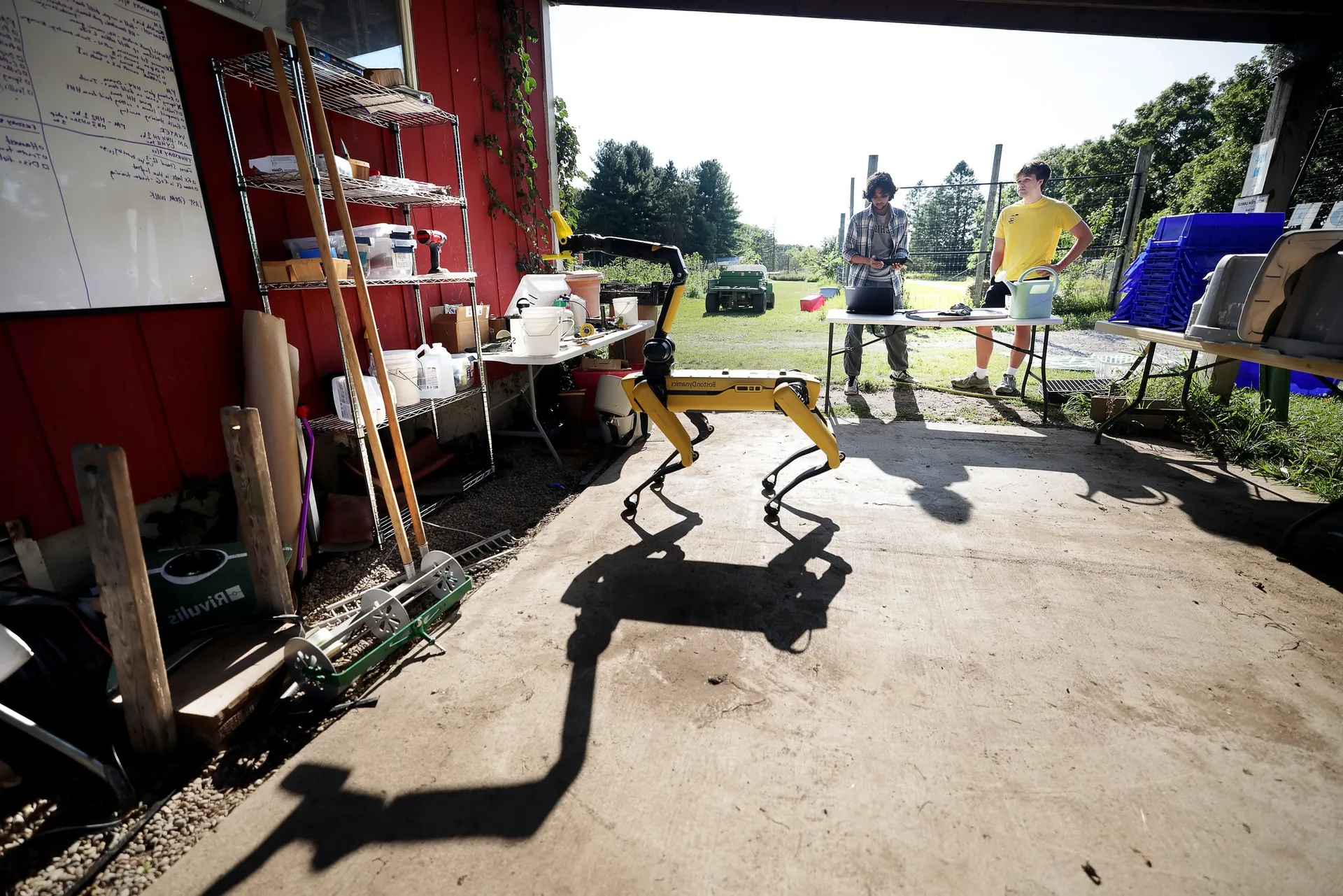At campus farm, students work with a quadruped robot.