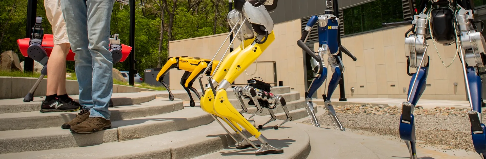 Students wrangle a vareity of robots on the robot playground