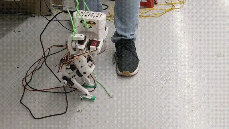 Legolas the robot walks around with support from a string gantry