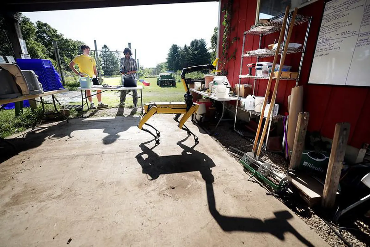 A Spot quadruped robot helps students with an agricultural project