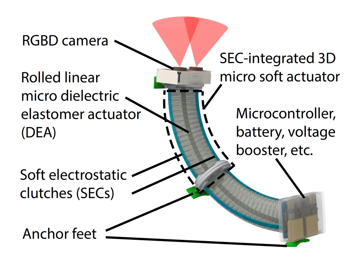 Labeled diagram of a curved soft robot showing its camera, actuators, clutches, electronics module, and anchor feet.